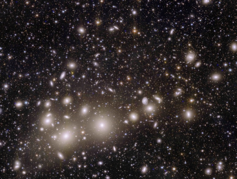 The Perseus Galaxy Cluster Seen with the Euclid Space Telescope