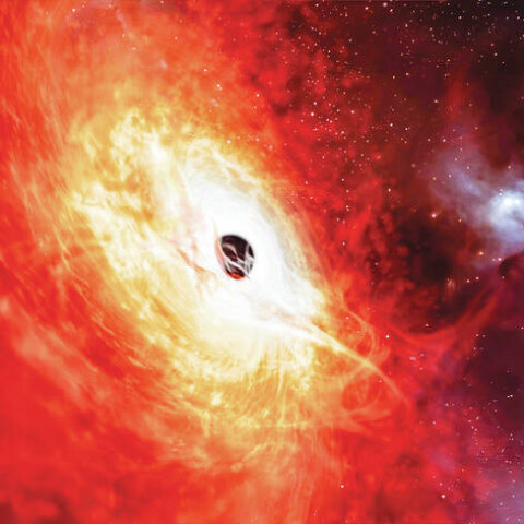 Quasar J0529-4351 (artist conception)